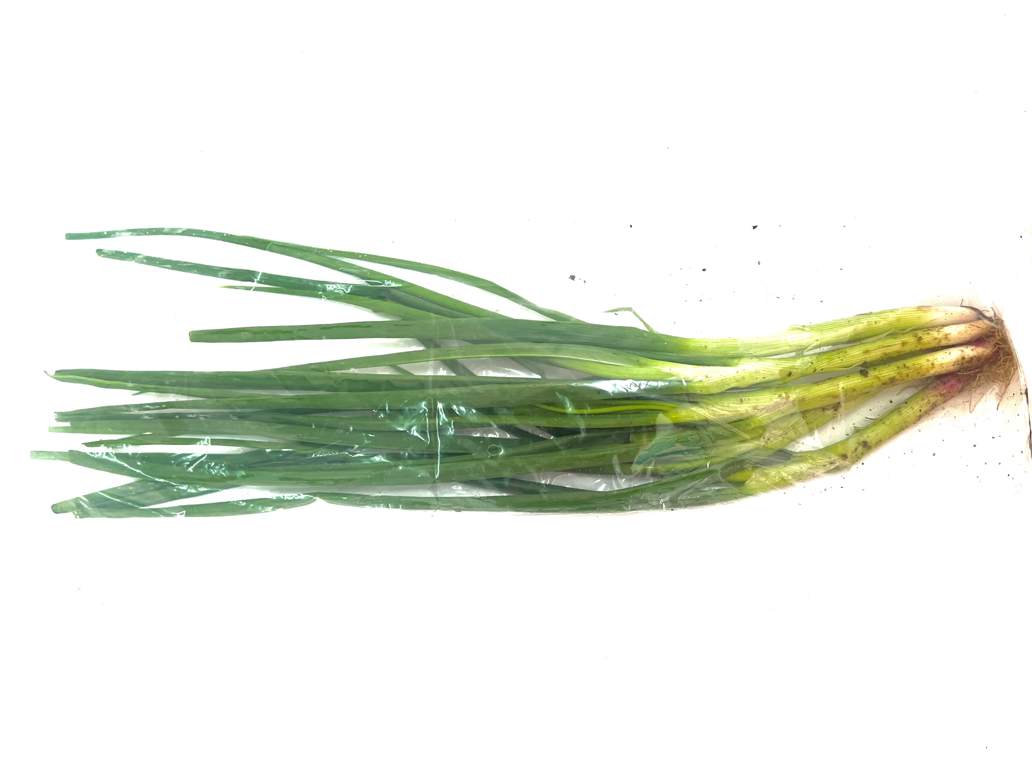 Natural Supermarket