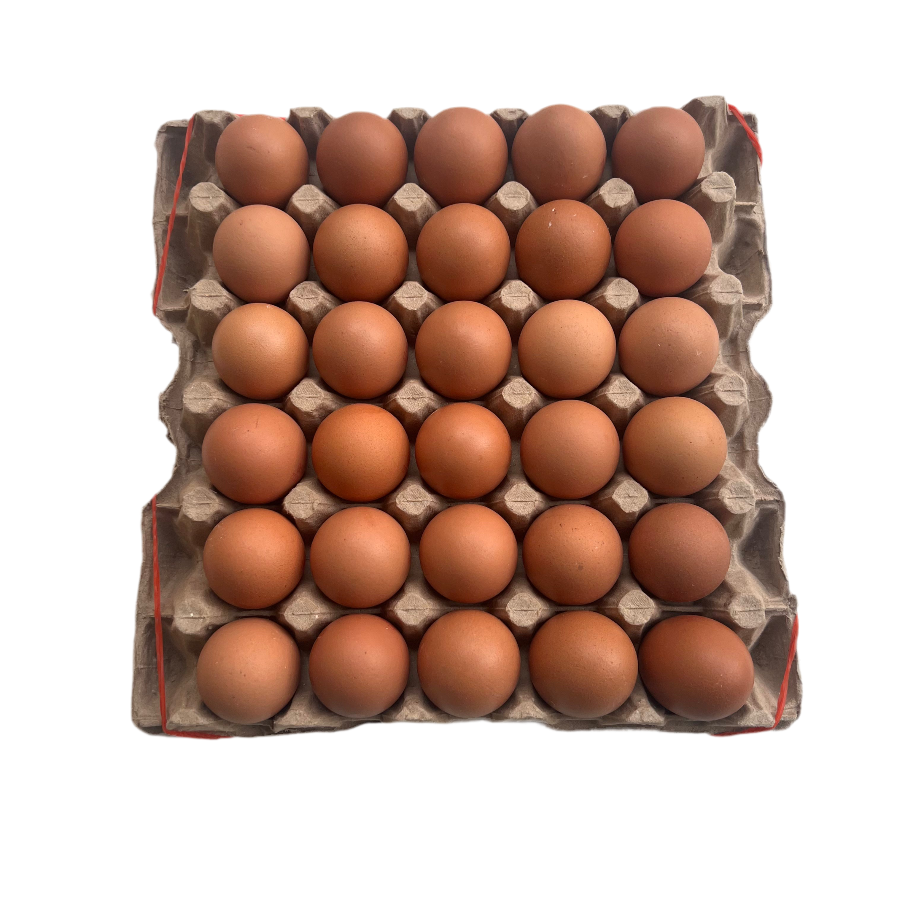 Natural Supermarket