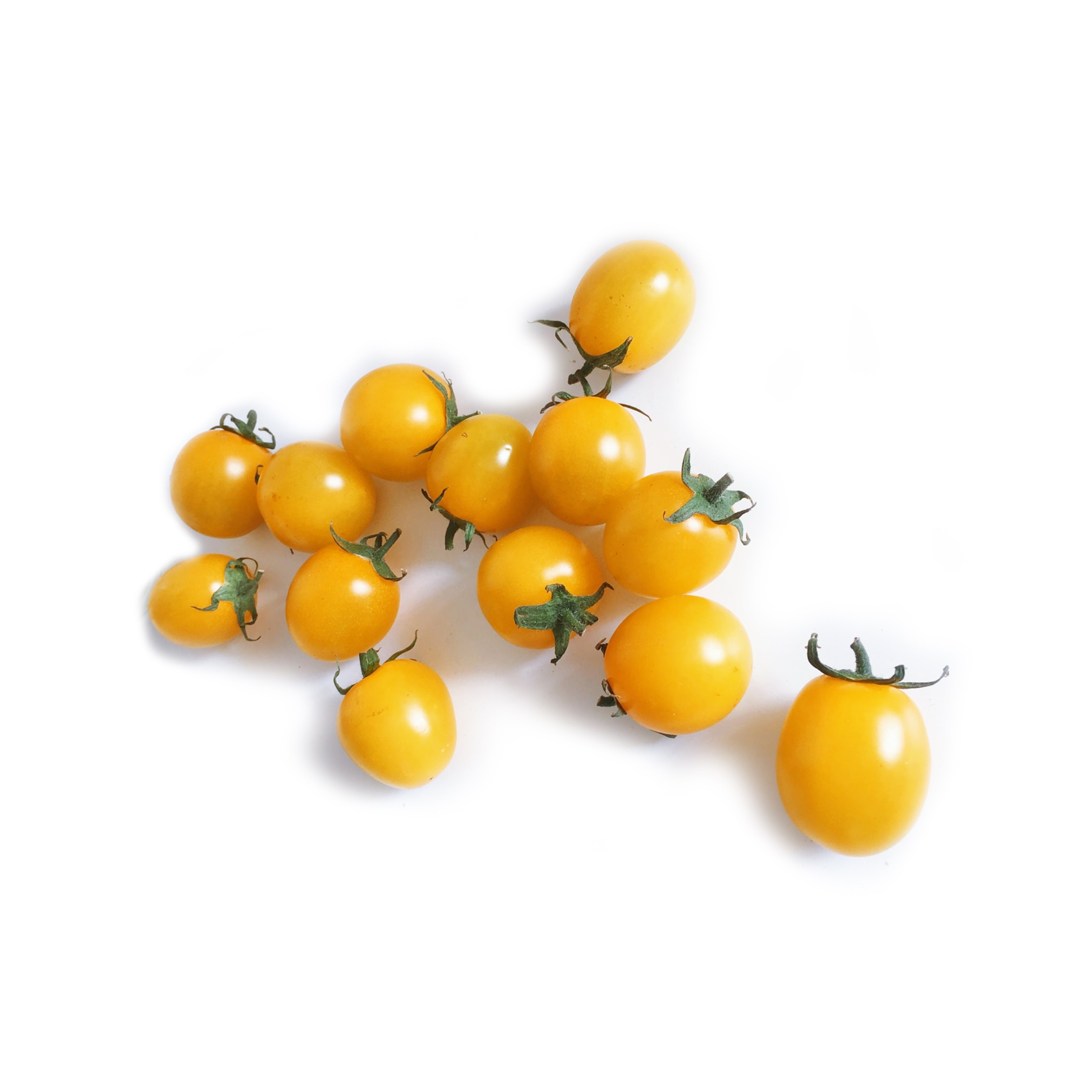CHERRY TOMATO YELLOW 黄樱桃番茄 250G