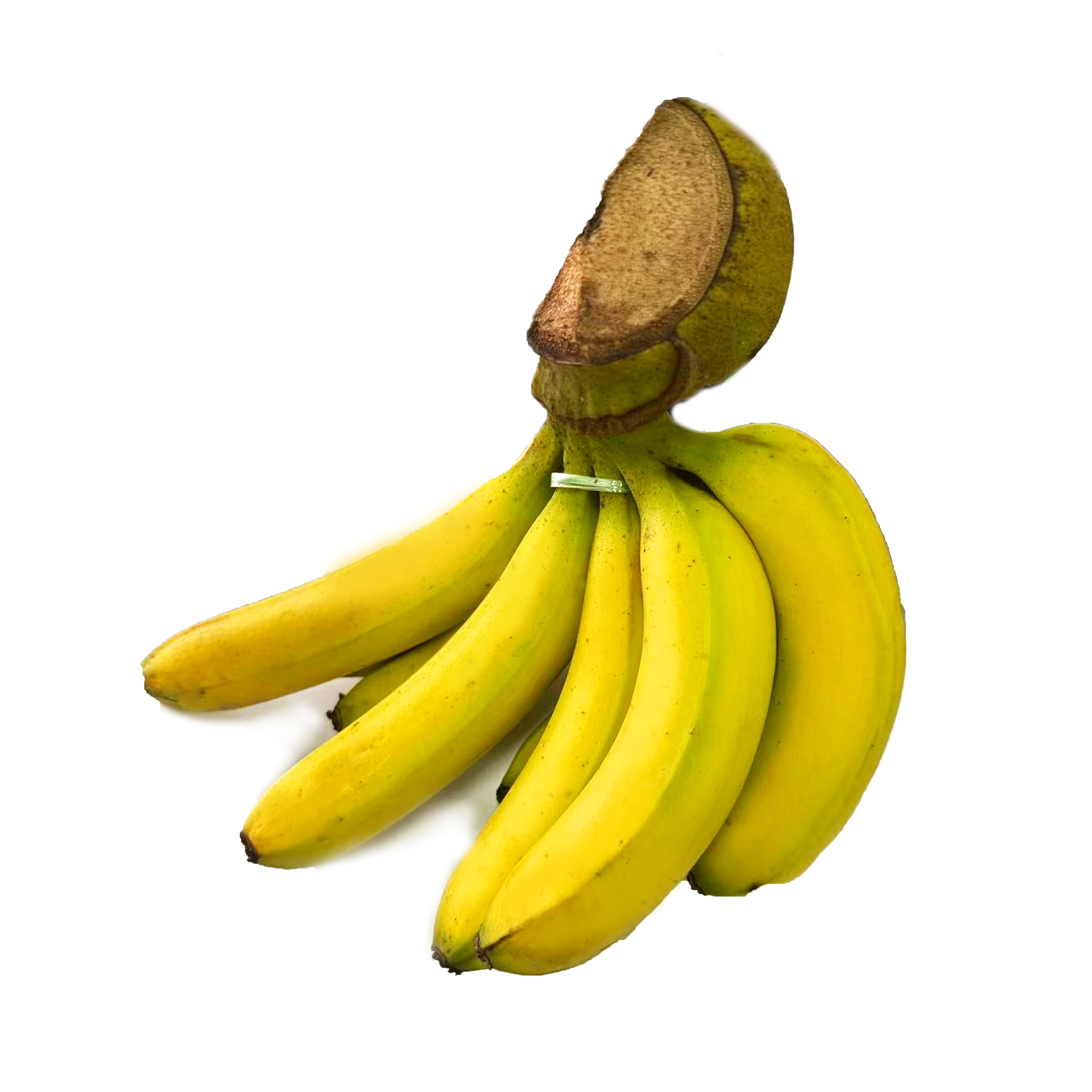 Natural Supermarket