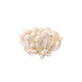 MUSHROOM WHITE SHIMEIJI 白玉菇 150G