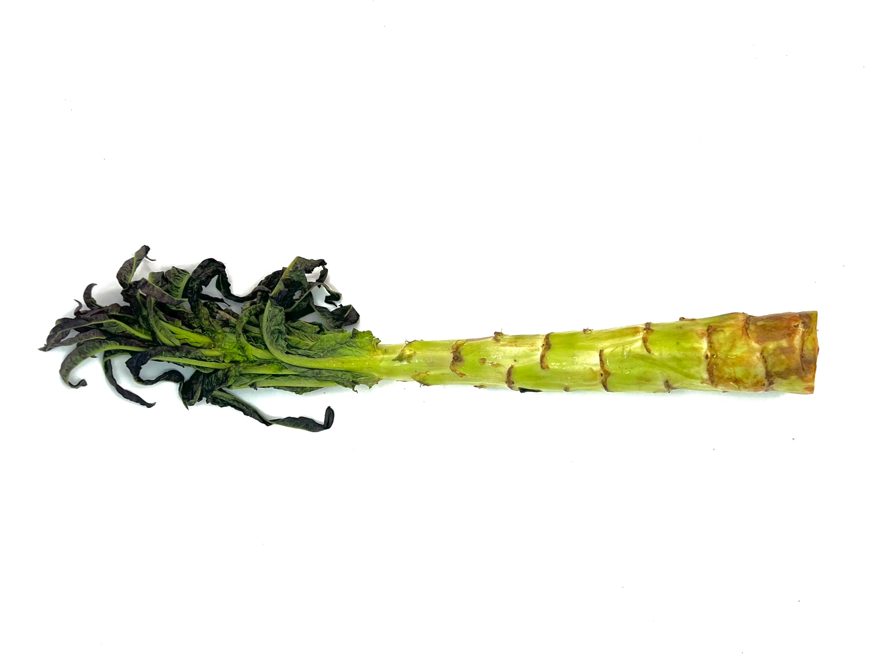 Natural Supermarket