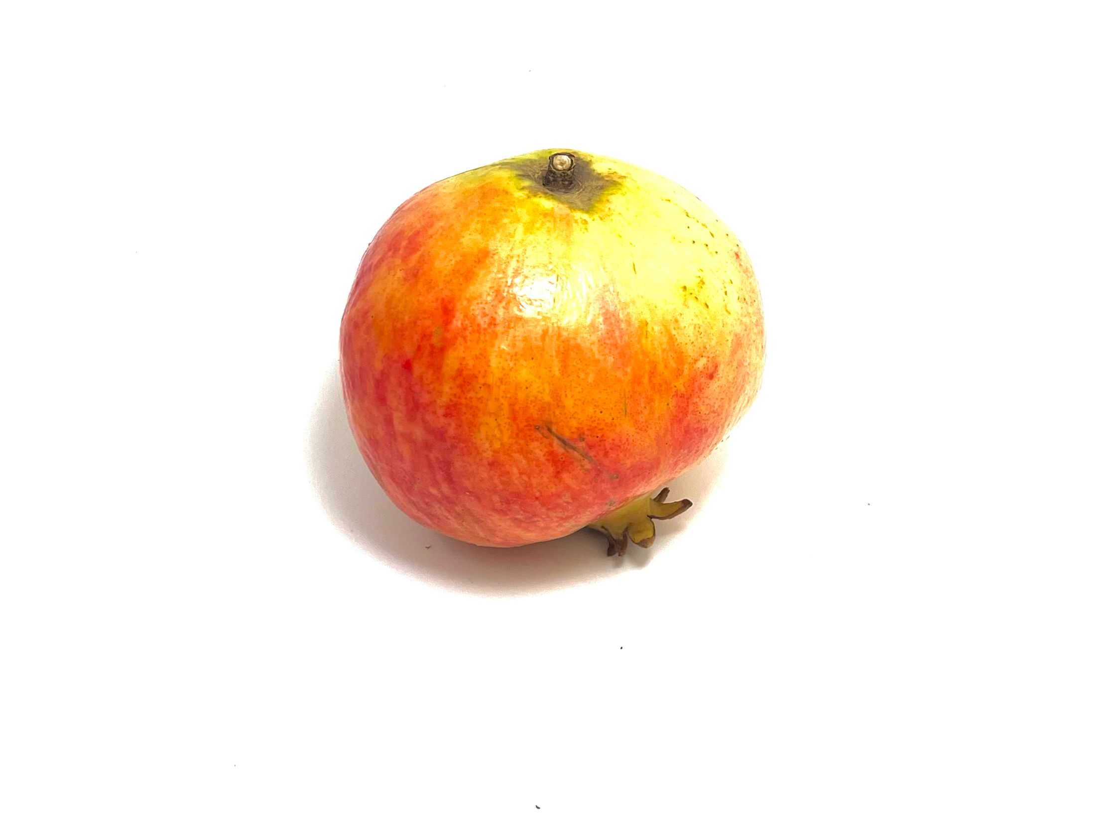 Natural Supermarket