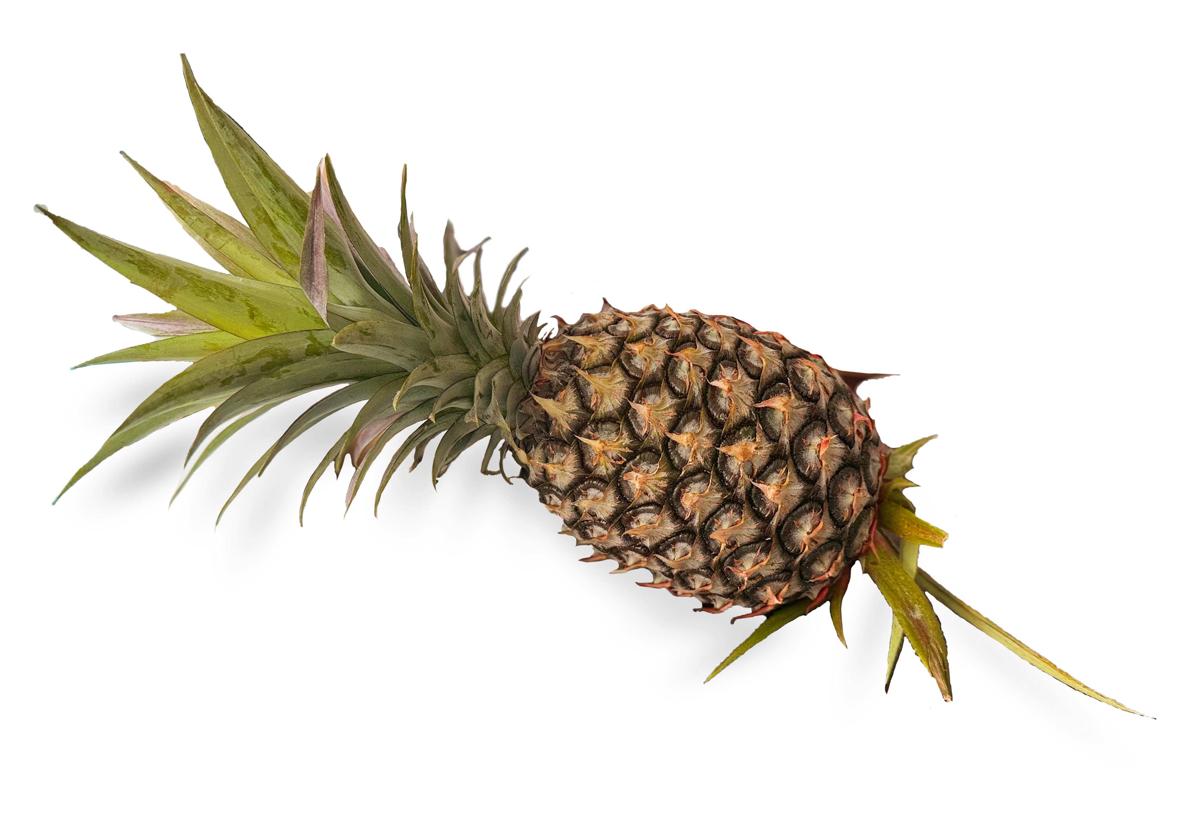 Natural Supermarket