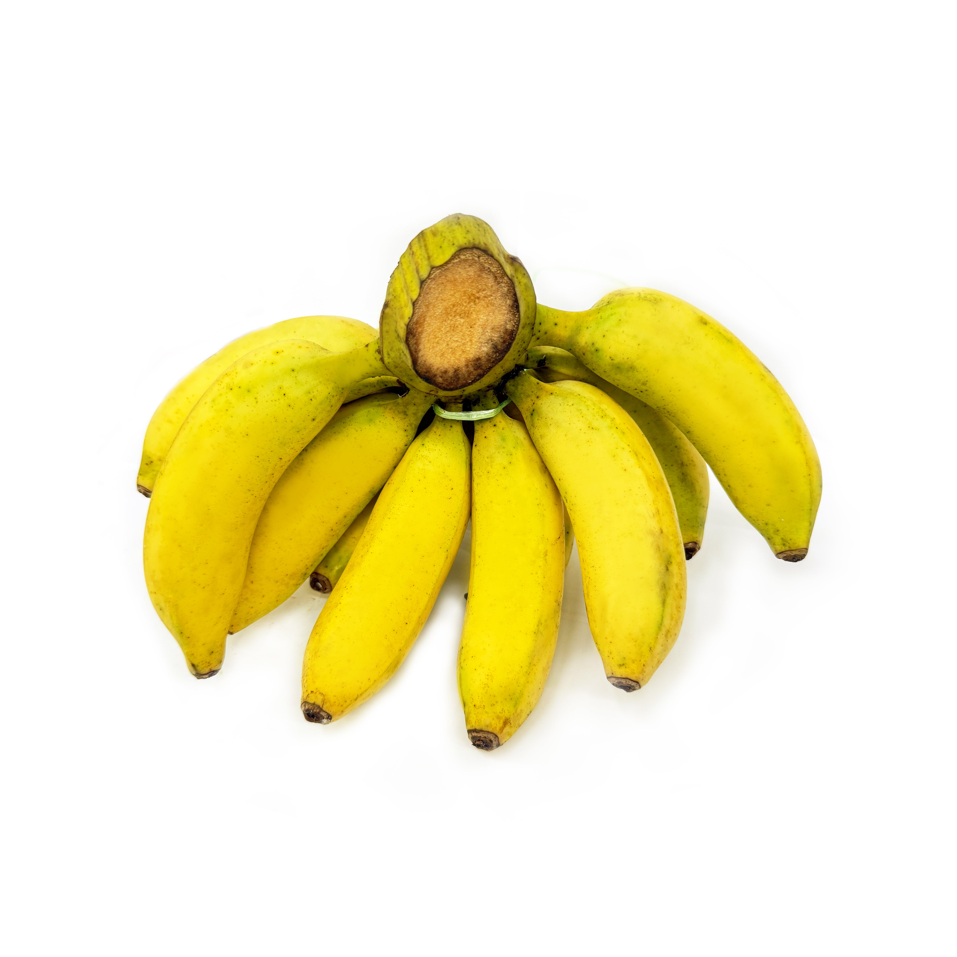 Natural Supermarket