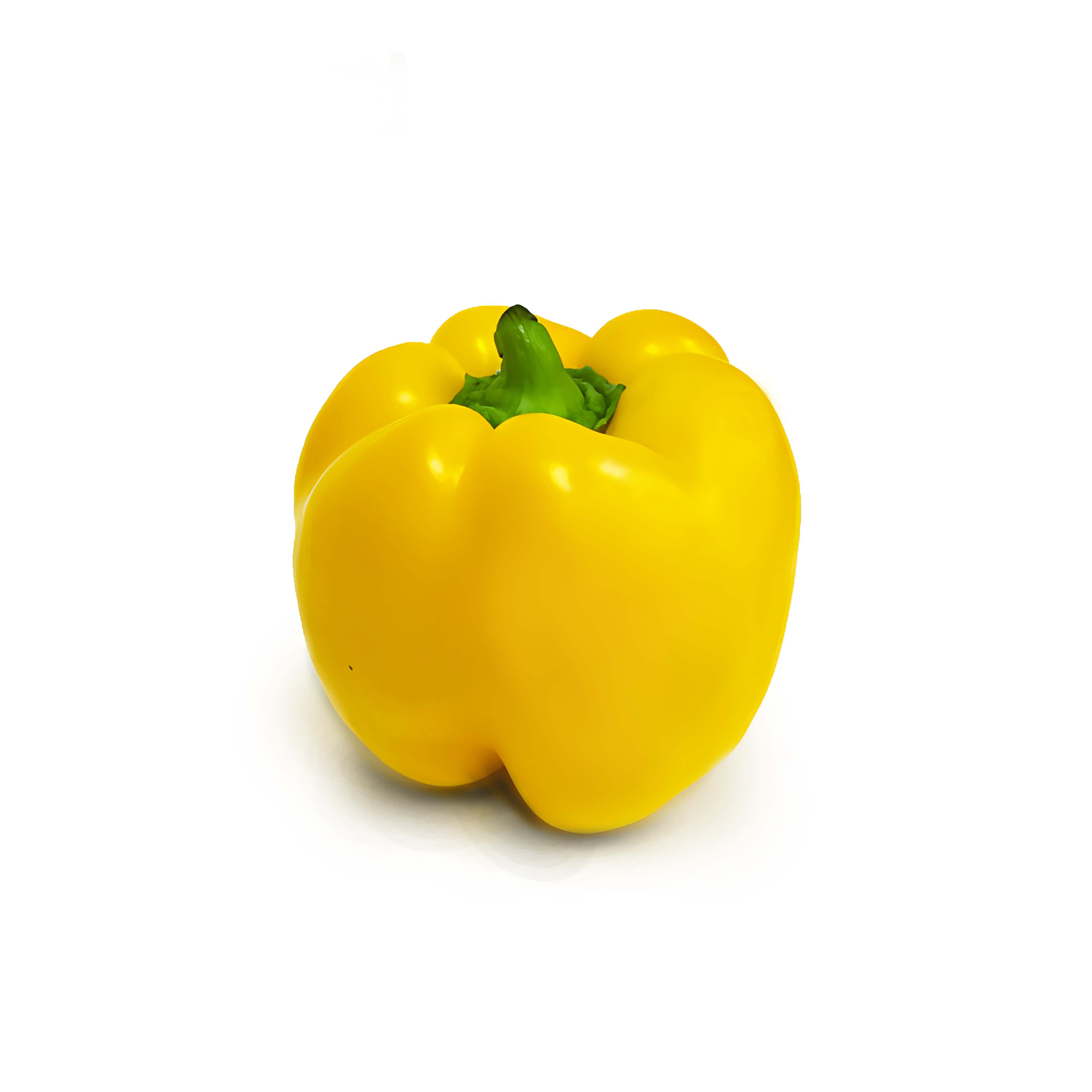 Natural Supermarket