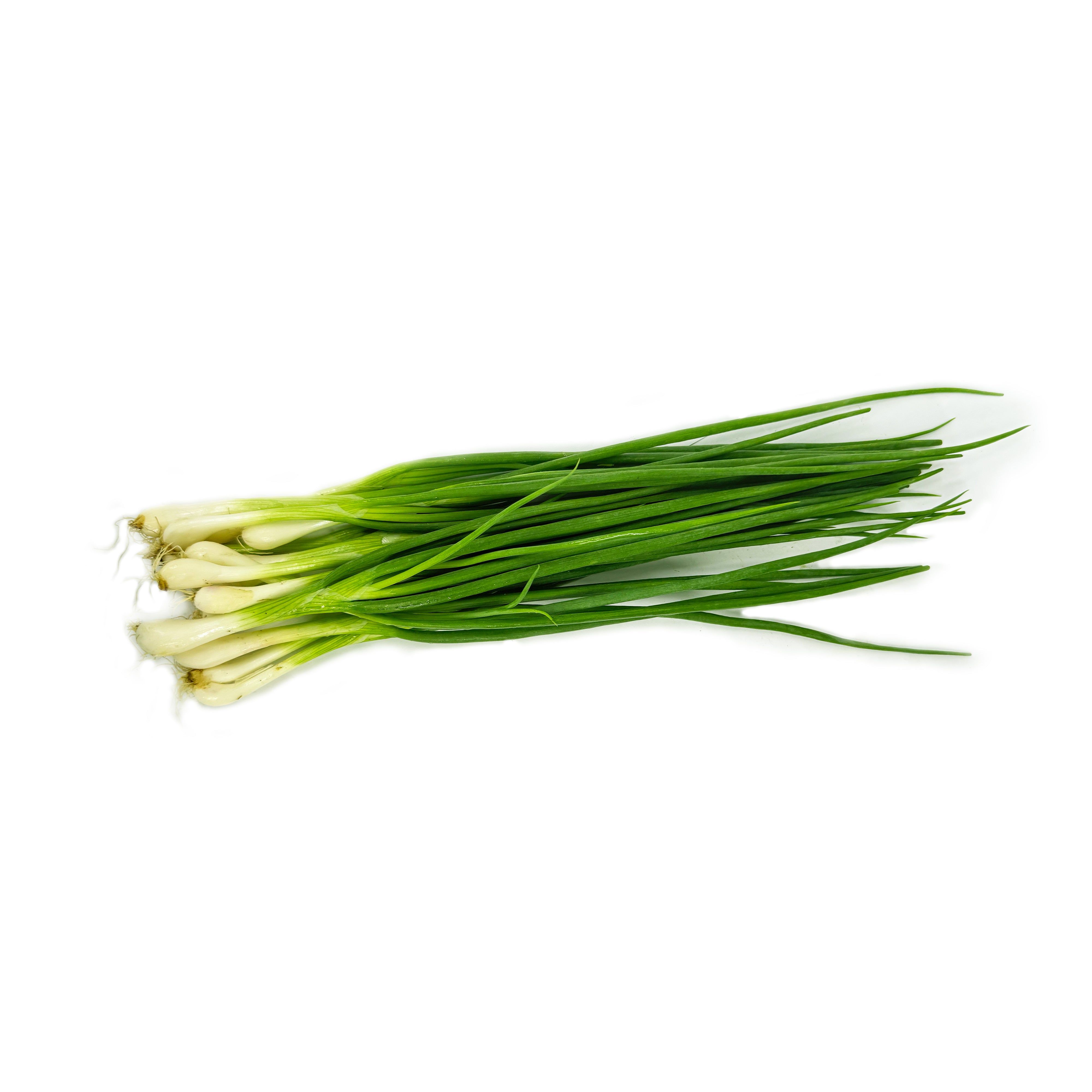 Natural Supermarket